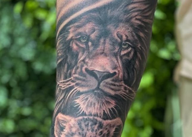 Détail des regards — Lion père et fils, texture du pelage en noir et gris