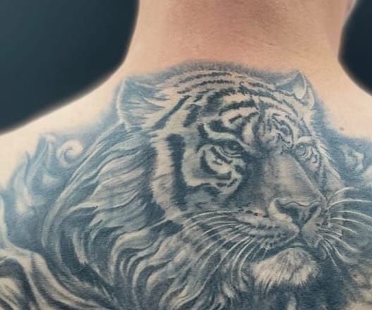 Détail — le regard du tigre, dégradés de gris